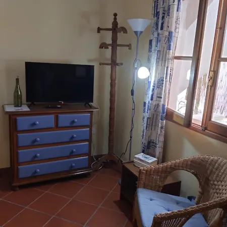 Apartment In Punta Brava
